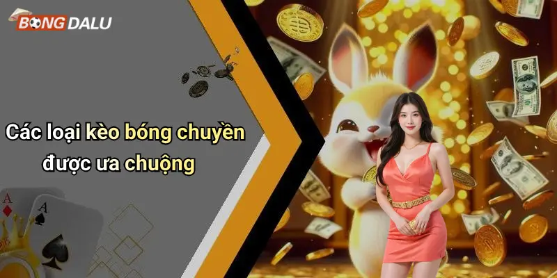 Các loại kèo bóng chuyền được ưa chuộng