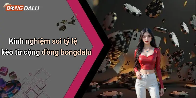 Kinh nghiệm soi tỷ lệ kèo từ cộng đồng bongdalu