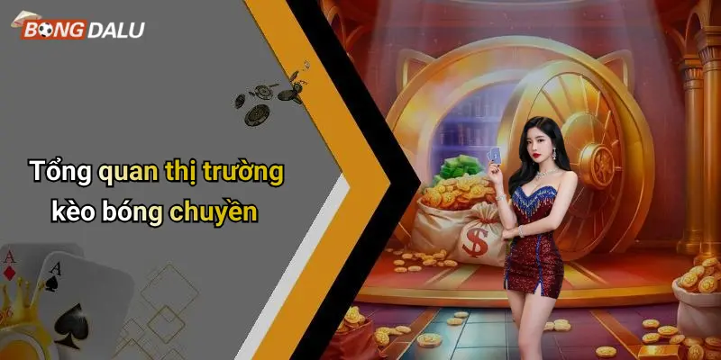 Tổng quan thị trường kèo bóng chuyền