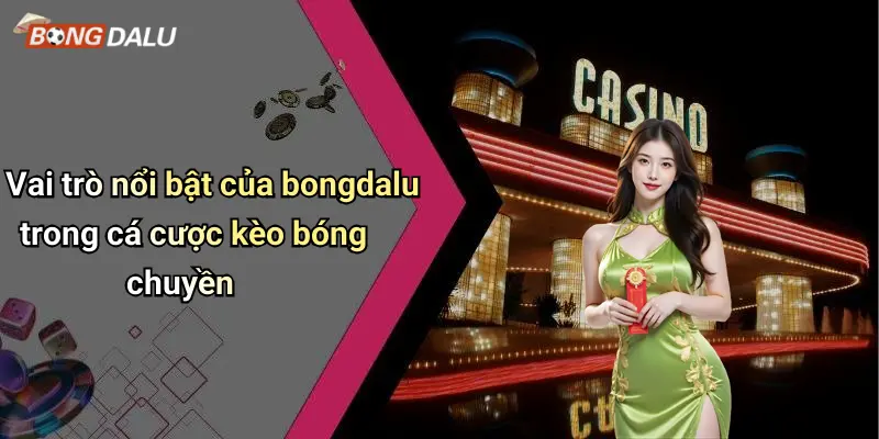 Vai trò nổi bật của bongdalu trong cá cược kèo bóng chuyền