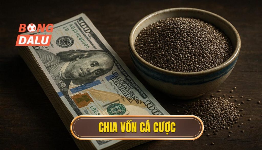 thumb - chia vốn cá cược
