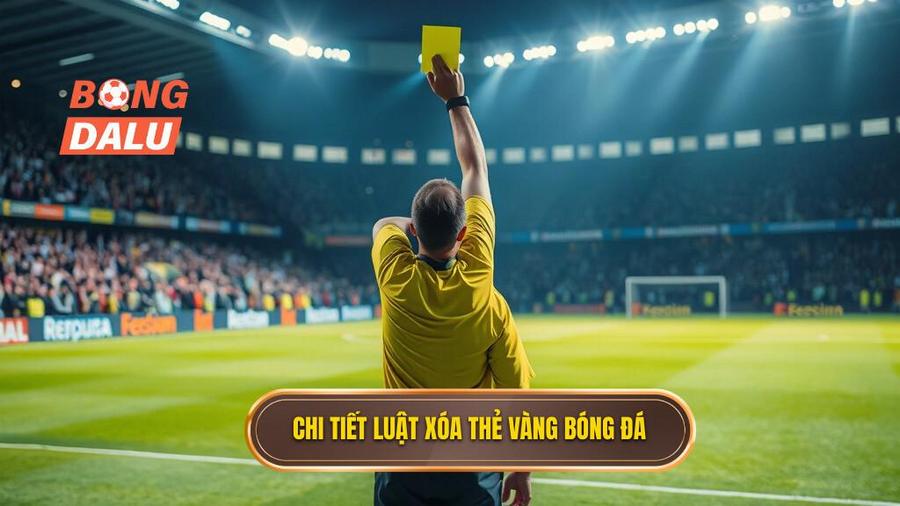 2. Chi tiết luật xóa thẻ vàng bóng đá