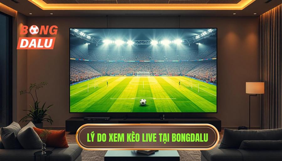 Tại sao nên theo dõi kèo live bóng đá hôm nay tại BONGDALU?