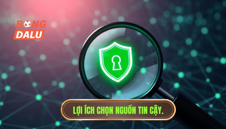 Phân tích sâu: Tại sao nên chọn nguồn tin cậy khi khắc phục lỗi truy cập?